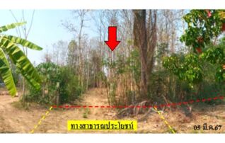 ทรัพย์สถาบันโดย บริษัท บริหารสินทรัพย์สุขุมวิท จำกัด ที่ดิน ถนนสายเกาะคา-นาแก้ว(ลป.5006)
