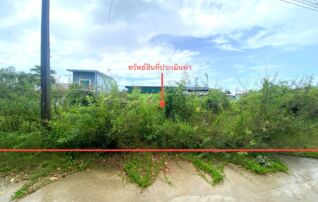 ทรัพย์ธนาคารโดย KASIKORNBANK ที่ดิน ถนนสายสงขลา - ระโนด (ทล.408)