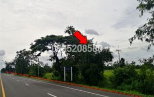 ขายที่ดิน ถนนสายโชคชัย-เดชอุดม (ทล. 24)