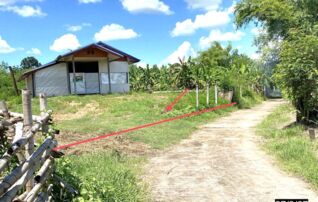 ทรัพย์ธนาคารโดย KASIKORNBANK บ้านเดี่ยว ถนนสายบ้านสว่าง-บ้านพรมเหนือ