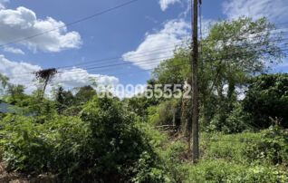 ขายที่ดิน นอกโครงการนครศรีธรรมราช