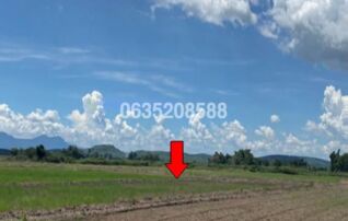 ขายที่ดิน ถนนสายบ้านกิ่วพร้าว-ปงน้อย (ทล.1098)