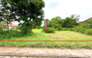 ทรัพย์ธนาคารโดย KASIKORNBANK ที่ดิน ถนนสายหนองคาย - นครพนม (ทล.212)