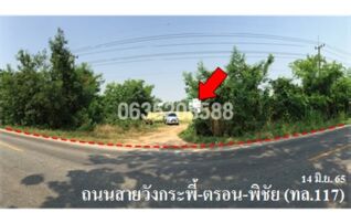 ขายที่ดิน ถนนสายวังกระพี้-ตรอน-พิชัย (ทล.117)