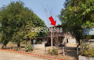 ขายบ้านเดี่ยว ถนนท่าวารี-ละทาย (ทล.2412)