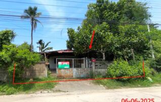 ทรัพย์ธนาคารโดย KASIKORNBANK บ้านเดี่ยว ถนนสายบ้านป่าไคร้ - บ้านทุ่งผา