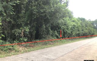 ทรัพย์ธนาคารโดย KASIKORNBANK ที่ดิน ถนนสายบ้านหนองบัวหน่วย - บ้านขาม (กส.4037)