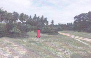 ทรัพย์สถาบันโดย GHB ที่ดิน ซอยบาโงกูแว ถนนสายบ้านทอน-รังมดแดง-กอตอ