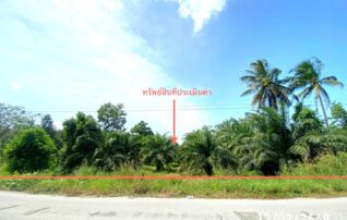 ทรัพย์ธนาคารโดย KASIKORNBANK ที่ดิน ซอยถนนสายโท 6 ถนนสายลำไพล - โคกโพธิ์ (ทล.42)