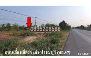 ขายที่ดิน ถนนเพชรเกษม ตอนชะอำ-ปราณบุรี (ทล.37)
