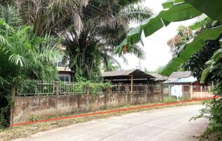 ทรัพย์ธนาคารโดย KASIKORNBANK บ้านเดี่ยว ซอยสายห้วยไก่-ม่วงขี้แร้ง ถนนสายบ้านปรางค์ชัย - บ้านท่าสำเภาใต้