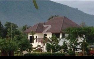 บ้านอยู่ในเขตโอโซนอันดับ7 ของโลก