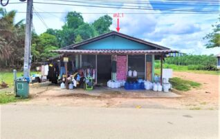 ทรัพย์ธนาคารโดย KASIKORNBANK บ้านเดี่ยว ถนนศรีปทุมวัลย์ 1