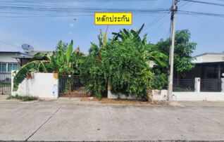 ทรัพย์สถาบันโดย GHB บ้านแฝด เอ-ไลฟ์ (มะค่า)
