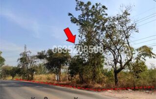ขายที่ดิน ถนนสายชัยภูมิ-หนองบัวแดง (ทล.2159)