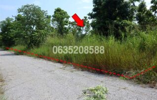 ขายที่ดิน เพชรบูรณ์ฮิลล์ แอนด์ การ์เด้น