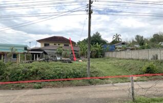 ทรัพย์สถาบันโดย KASIKORNBANK ที่ดิน ซอย5 ถนนสายเชียงราย-แม่สาย(ทล.1)