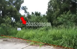 ขายที่ดิน สวนวลีแลนด์ 4 (Baan Suan Walee Land 4)