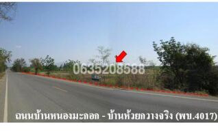 ขายที่ดิน ถนนบ้านหนองมะกอก-บ้านห้วยกวางจริง (พบ.4017)