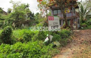 ทรัพย์สถาบันโดย บริษัท บริหารสินทรัพย์สุขุมวิท จำกัด ที่ดิน ถนนนครลุง