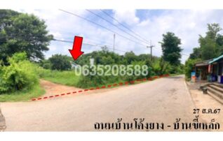ขายบ้านเดี่ยว ถนนสายบ้านโค้งยาว-บ้านขี้เหล็ก