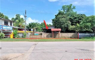 ทรัพย์ธนาคารโดย KASIKORNBANK บ้านเดี่ยว ถนนบ้านดอนหัววัง(ทล.1035)