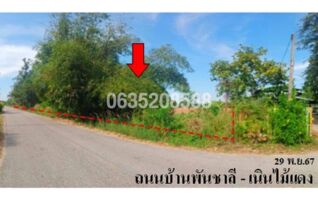 ขายที่ดิน ถนนสายบ้านพันชาลี-บ้านเนินไม้แดง