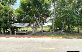 ทรัพย์สถาบันโดย KASIKORNBANK ที่ดิน ถนนสายร้อยเอ็ด-อาจสามารถ (ทล.2043)