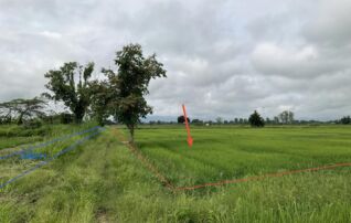 ทรัพย์สถาบันโดย KASIKORNBANK ที่ดิน ถนนสายบ้านหนองครก - บ้านสันหลวง