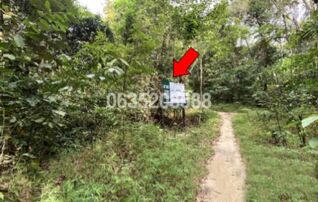 ขายที่ดิน ถนนสายบุรี-กะพ้อ (ทล.4060)