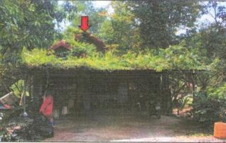 ทรัพย์สถาบันโดย GHB บ้านเดี่ยว ถนนตรัง - สตูล