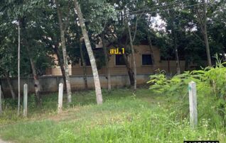 ทรัพย์ธนาคารโดย KASIKORNBANK บ้านเดี่ยว ถนนสายบ้านทรัพย์มงคล - บ้านวังปลาป้อม