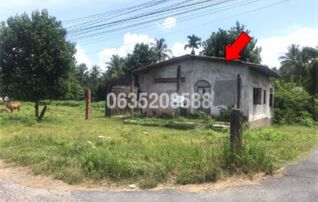 ขายบ้านเดี่ยว ถนนธรรมเผด็จ-วังขรี (นศ.3022)