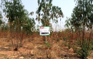 ขายที่ดิน ถนนสายชัยภูมิ-หนองบัวแดง (ทล.2159)
