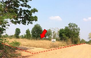 ทรัพย์สถาบันโดย บริษัท บริหารสินทรัพย์สุขุมวิท จำกัด ที่ดิน ถนนโนนสาทร-หนองปลาเฒ่า