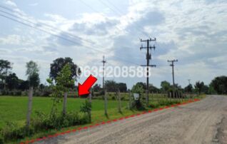 ขายที่ดิน ถนนบ้านหนองโก