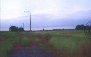 ทรัพย์สถาบันโดย GHB ที่ดิน ทานตะวัน 3