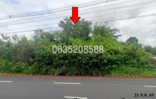ขายที่ดิน ถนนสายนครราชสีมา-อุบลราชธานี (ทล.226)