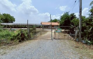 ทรัพย์ธนาคารโดย KASIKORNBANK บ้านเดี่ยว ถนนสายท่าช้าง - สามชุก (สพ.3050)