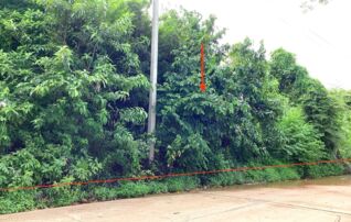 ทรัพย์ธนาคารโดย KASIKORNBANK ที่ดิน ถนนสายวังสามหมอ - คำโคกสูง (อด.4024)
