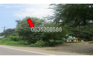 ขายที่ดิน ถนนสายท่าหล่อ-หนองระแวง (ปข.4007)