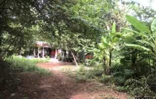 ทรัพย์ธนาคารโดย KASIKORNBANK บ้านเดี่ยว ถนนสายบ้านหนองกุง - บ้านหนองดินดำ (ชย.3012)