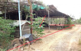 ทรัพย์ธนาคารโดย KASIKORNBANK บ้านเดี่ยว ถนนสายเพชรบุรี - หนองหญ้าปล้อง