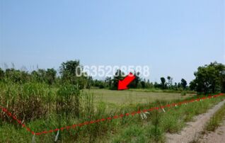 ขายที่ดิน เพชรบูรณ์ฮิลล์ แอนด์ การ์เด้น