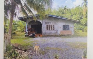 ทรัพย์สถาบันโดย GHB บ้านเดี่ยว ซอยสายสามัคยาราม - บ้าน ถนนสายสามร้อยกล้า - บ้า
