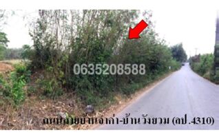 ขายที่ดิน ถนนสายบ้านจ้าค่า-บ้านวังยวม (ลป.4310)