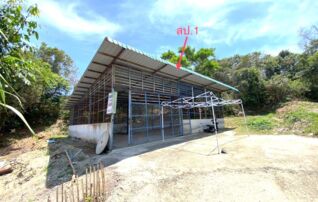 ทรัพย์ธนาคารโดย KASIKORNBANK โกดัง/โรงงาน ถนนสายสงขลา-นาทวี (ทล.408)