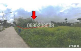 ขายที่ดิน ถนนถนนสงขลา-ปัตตานี (ทล.42)