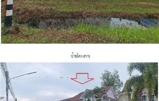 ทรัพย์สถาบันโดย SCB บ้านเดี่ยว บ้านเดี่ยว เมืองสุราษฎร์ธานี