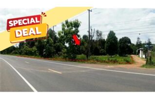 ทรัพย์สถาบันโดย บริษัท บริหารสินทรัพย์สุขุมวิท จำกัด ที่ดิน ถนนเลี่ยงเมืองอุบลราชธานี (ทล.231)